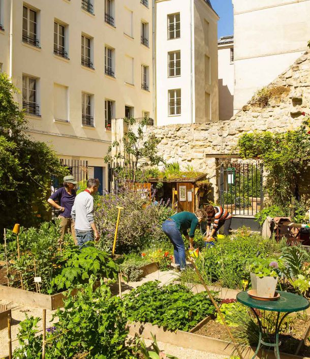 Vegetable garden Paris